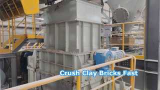 Triturador de rolo do dente