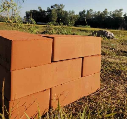 Linha 2,5 de Clay Brick Making Machine Production da lama ~ pressão 2.8MPa expulsando