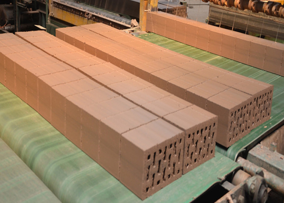 Máquina de Corte de Tijolos de Argila Modelo QTQD-1 com 1254mm de Comprimento e Altura Máxima de Corte de 300mm para Corte Preciso de Paredes de Tijolo