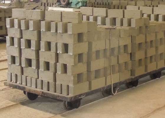 Vista um carro mais seco do equipamento da câmara de Clay Brick Dryer Machine Drying da resistência