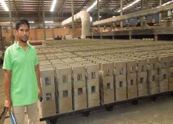 Vista um carro mais seco do equipamento da câmara de Clay Brick Dryer Machine Drying da resistência