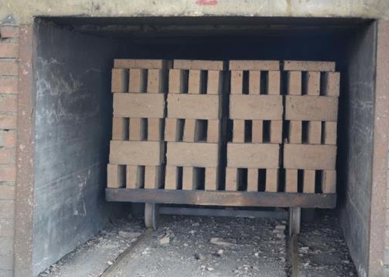 Oposição contínua semi automática do desgaste do carro de Clay Brick Dryer Machine Dry
