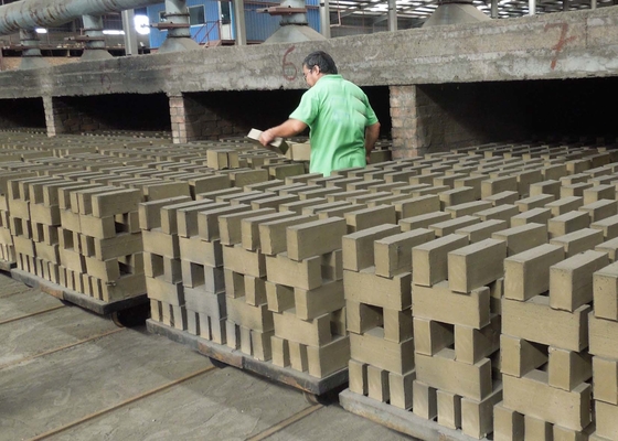 Oposição contínua semi automática do desgaste do carro de Clay Brick Dryer Machine Dry
