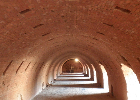 Linha de Clay Hollow Brick Machine Production para a planta da estufa de Hoffman