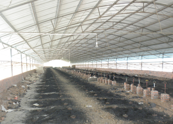 Linha de Clay Hollow Brick Machine Production para a planta da estufa de Hoffman