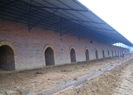 Linha de Clay Hollow Brick Machine Production para a planta da estufa de Hoffman