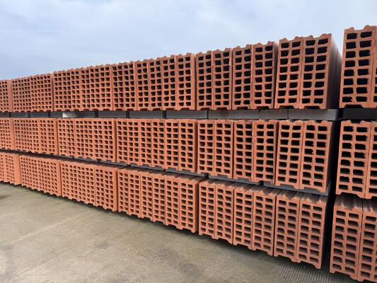 Tecnologia de sistema de secagem e queima de linha de produção de tijolos de barro para blocos ocos e painéis de parede